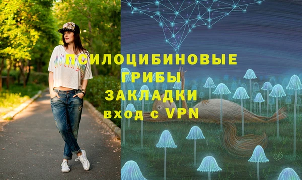 Альфа ПВП Гусь-Хрустальный