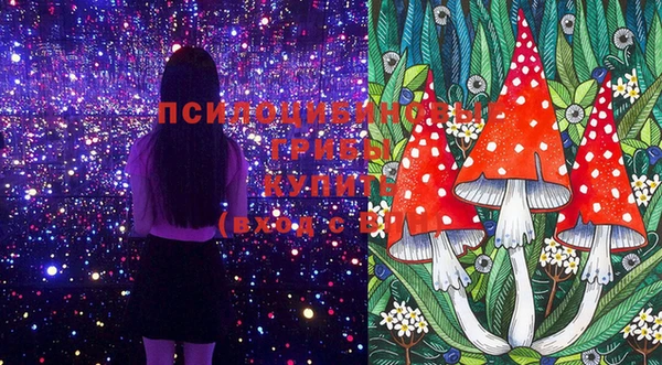 крисы Гусиноозёрск