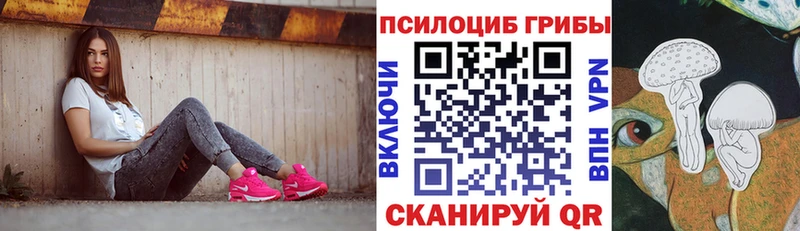 Купить где  Хилок  Псилоцибиновые грибы MAGIC MUSHROOMS 
